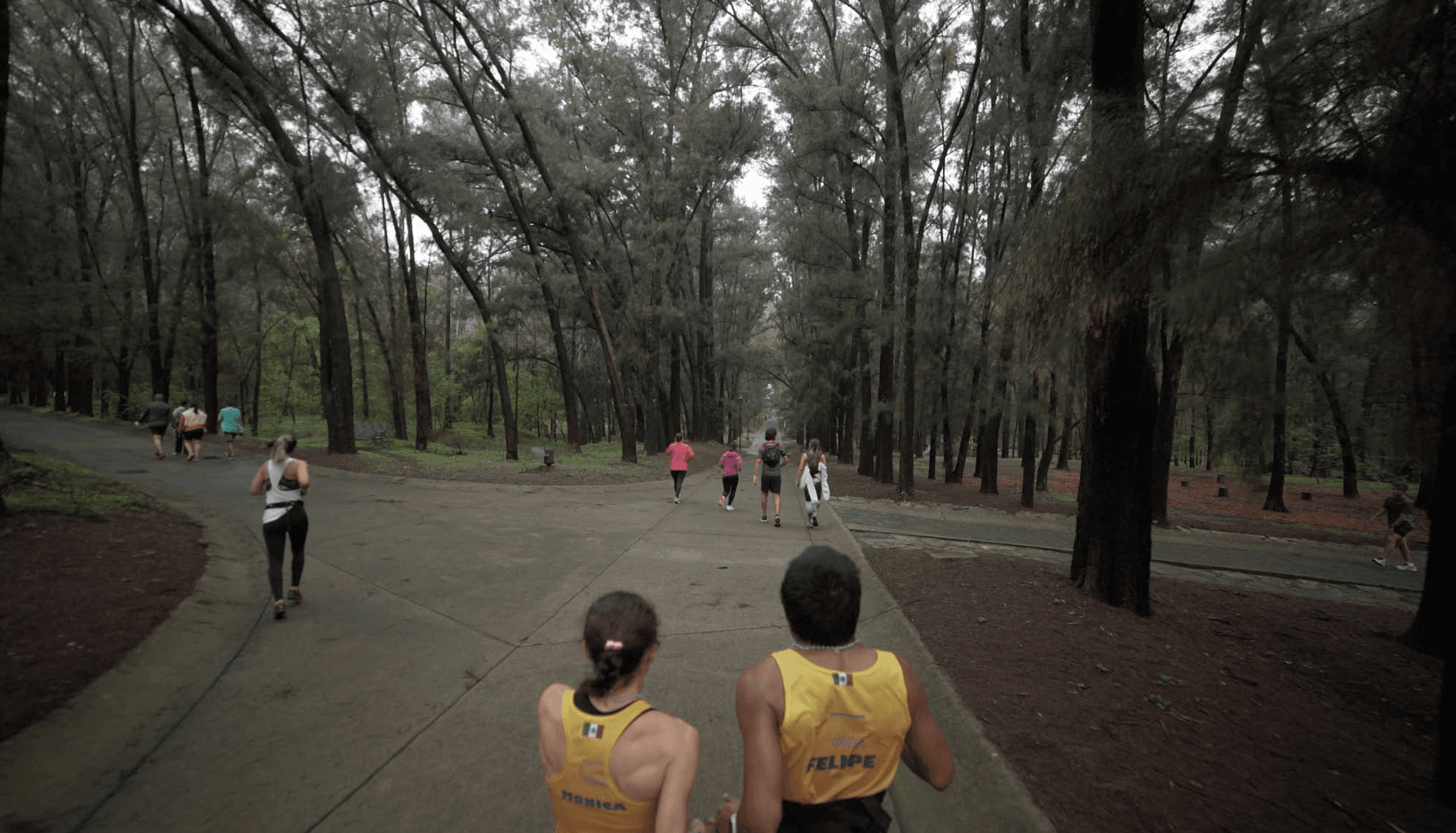 Las hijas del viento